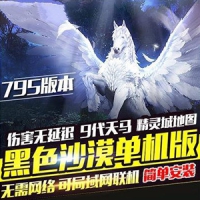 【亲测】黑色沙漠795单机版一键端 九代天马版带GM后台