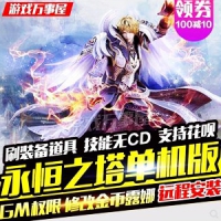 【亲测】永恒之塔单机版 5.8-6.5版永恒之塔游戏服务端 带...