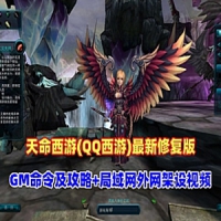 天命西游单机版仿QQ西游网游一键端修复版带GM命令局域外网