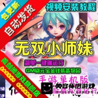【手游】无双小师妹单机版PC模拟器运行GM刷元宝金钱装备...