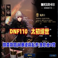 DOF网游单机版太初绯世110级仿官+战斗力系统+装备喂养