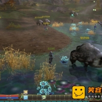 永恒之塔怀旧1.5龙之影带精英怪50级满i级梦开始的地方！...