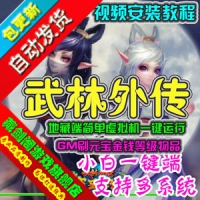 【亲测】武林外传单机版盗圣传说，地藏端简单一键运行GM...