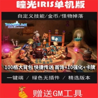 【亲测】瞳光IRIS网游单机版一键端，瞳光网单游戏100格大...