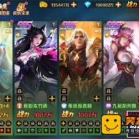 新斗罗大陆-双神王版网游手游单机版，电脑模拟器游戏